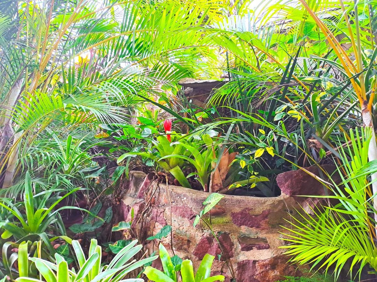 Old Mill Guest House Durban Exterior foto